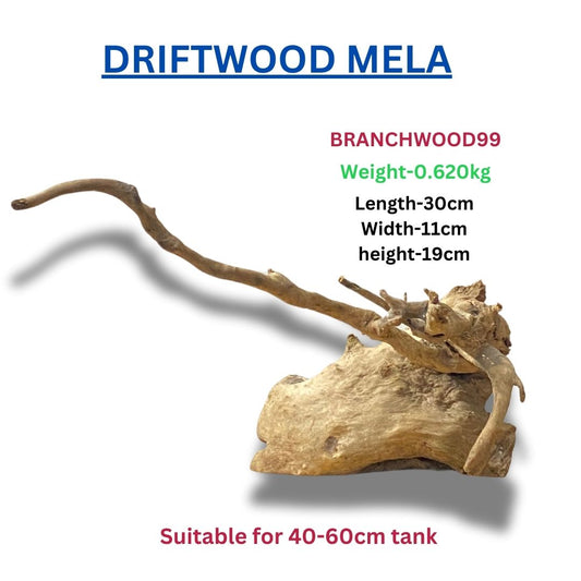 Driftwood BRANCHWOOD 99