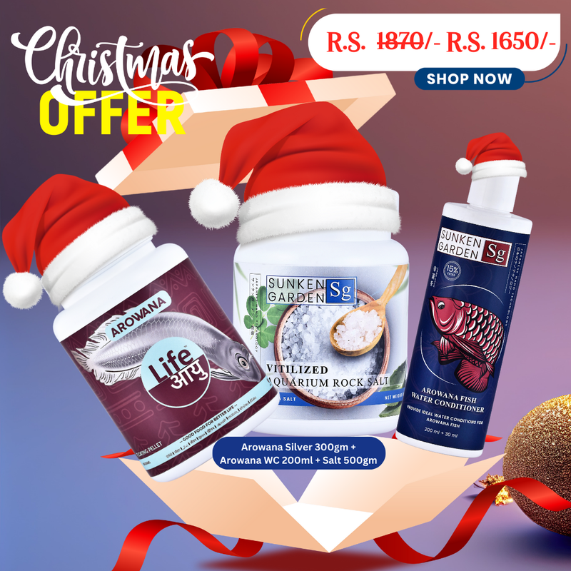 Arowana Silver Christmas Combo – 300g