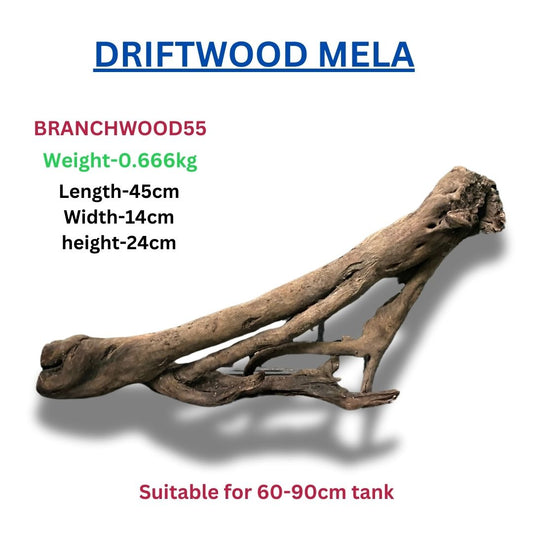 Driftwood Branchwood 55