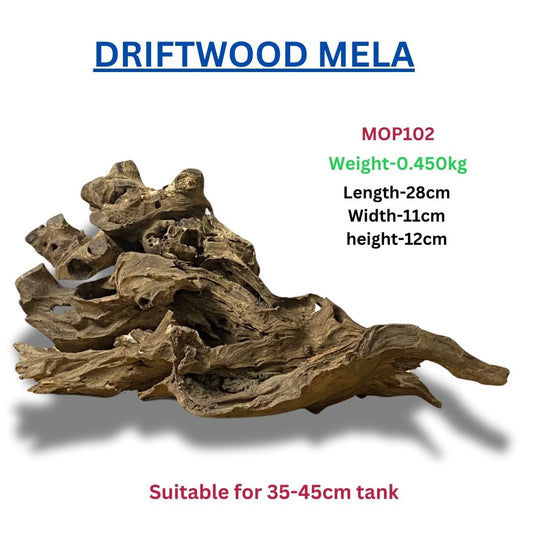 Driftwood MOP 102