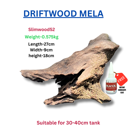 Driftwood BRANCHWOOD 052