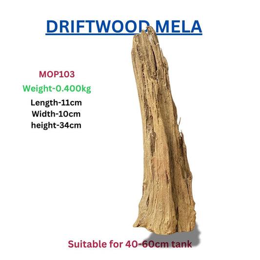 Driftwood MOP 103