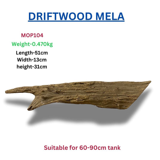 Driftwood MOP 104