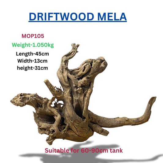 Driftwood MOP 105