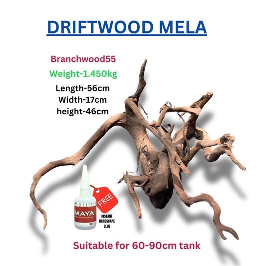 Driftwood BRANCHWOOD 055