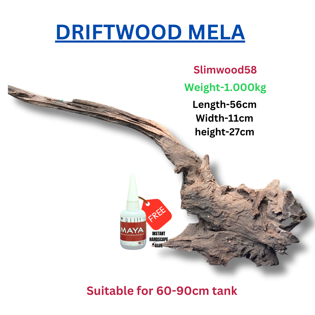 Driftwood BRANCHWOOD 058