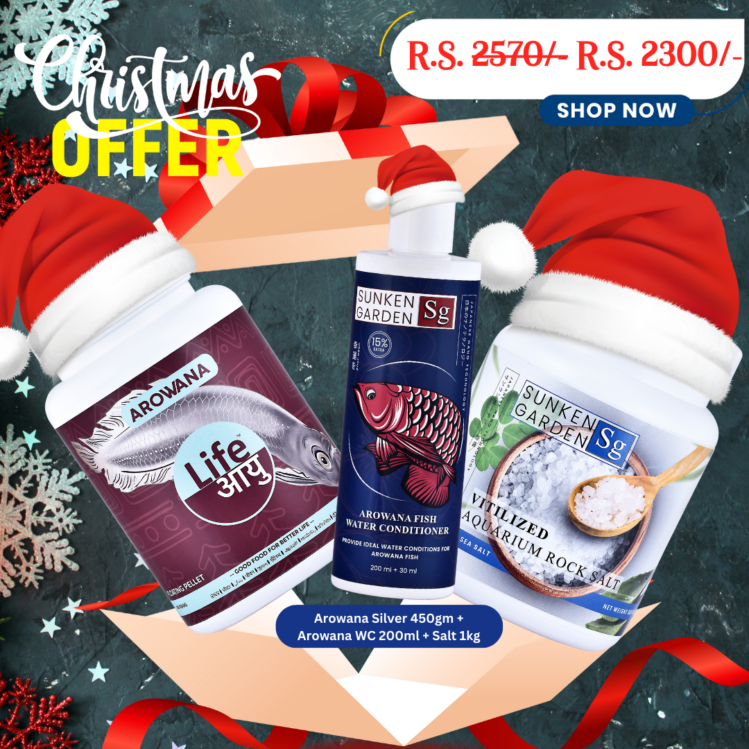 Arowana Silver Christmas Combo – 450g