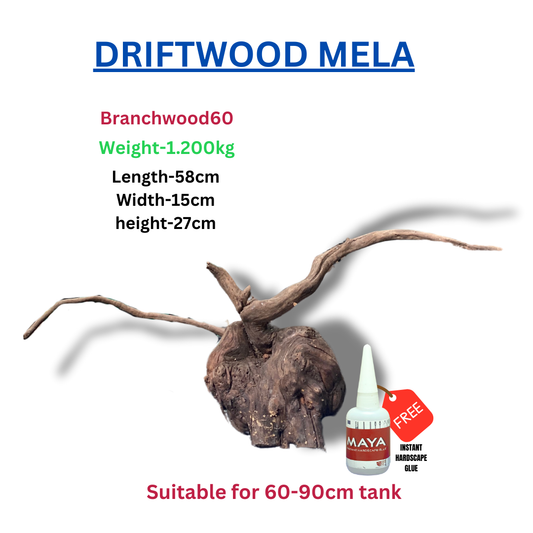 Driftwood BRANCHWOOD 060