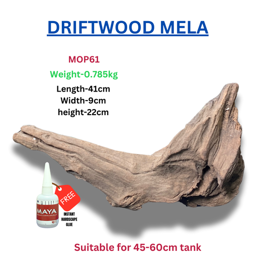 Driftwood BRANCHWOOD 061