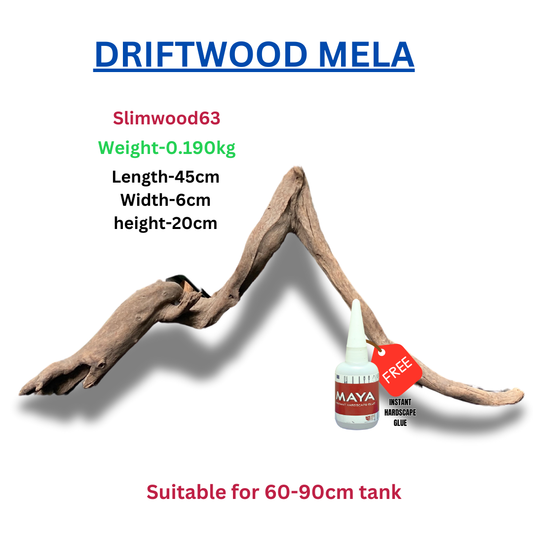 Driftwood BRANCHWOOD 063