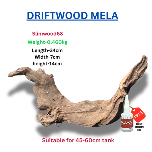 Driftwood BRANCHWOOD 068