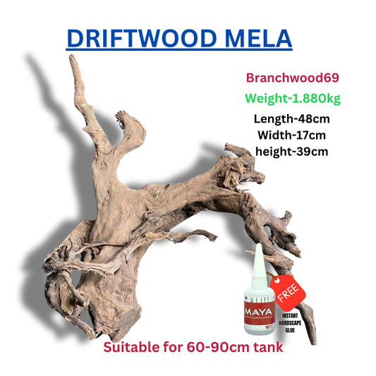 Driftwood BRANCHWOOD 069