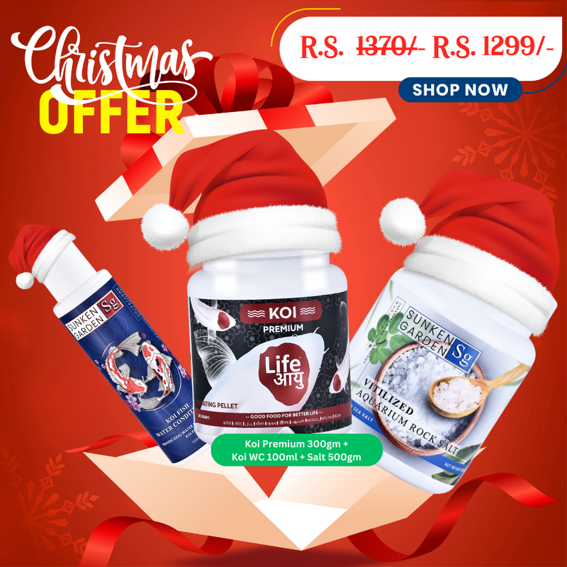 Koi Premium Christmas Combo – 300g
