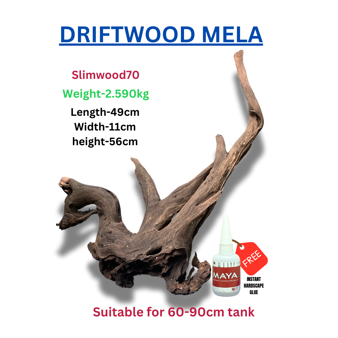 Driftwood BRANCHWOOD 070