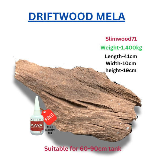 Driftwood BRANCHWOOD 071