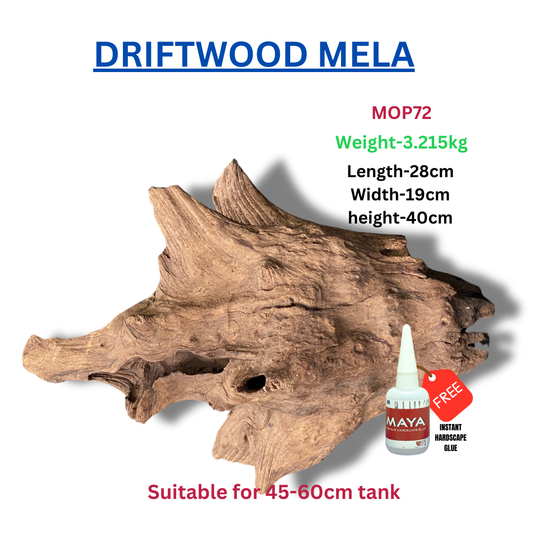 Driftwood BRANCHWOOD 072