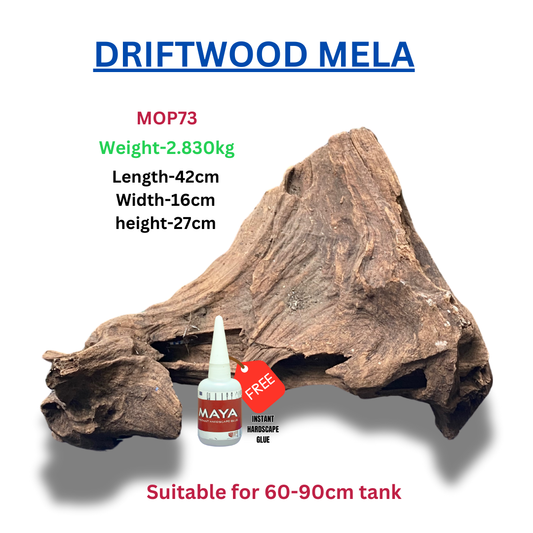 Driftwood BRANCHWOOD 073