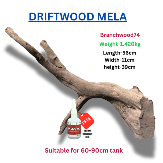 Driftwood BRANCHWOOD 074