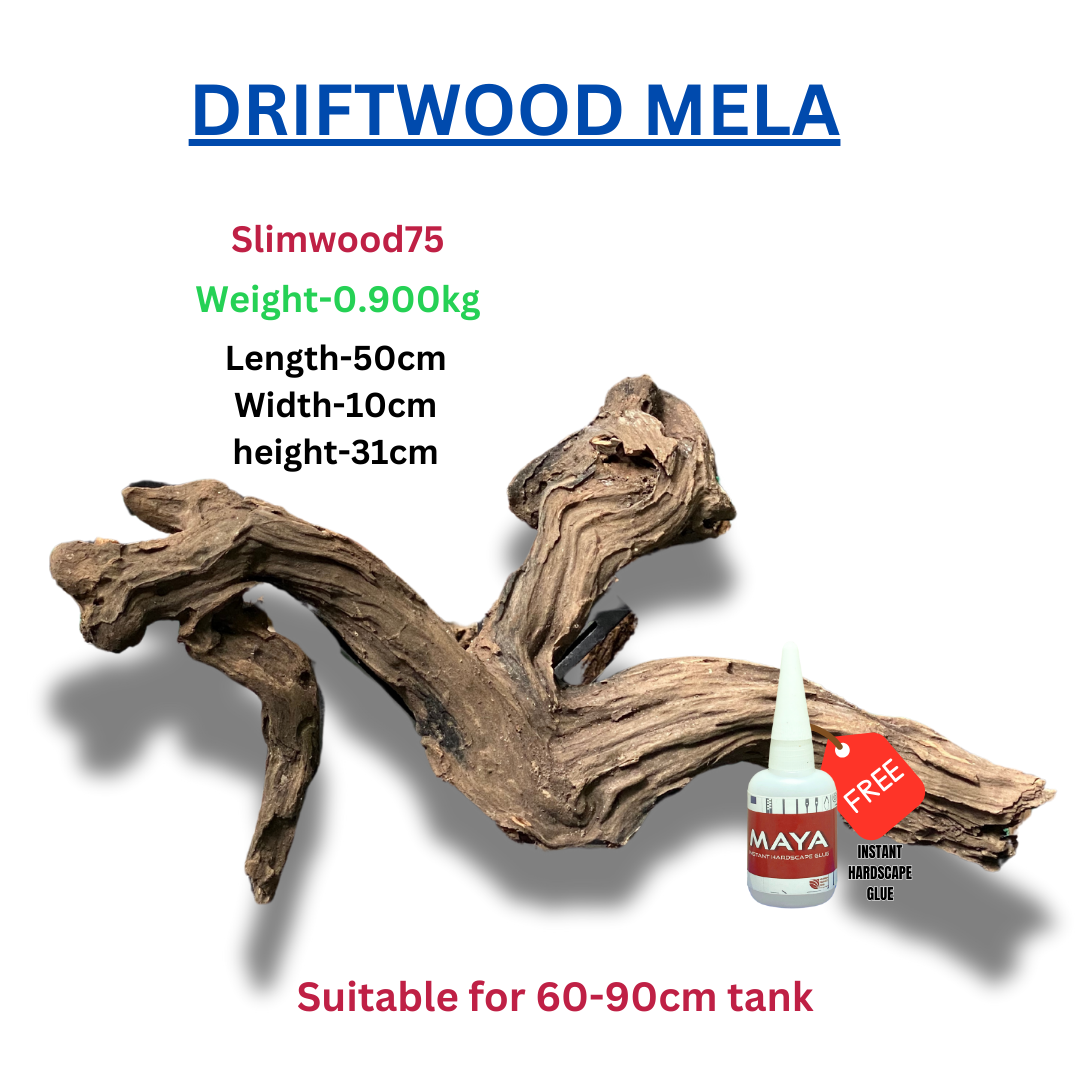 Driftwood BRANCHWOOD 075