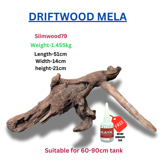 Driftwood BRANCHWOOD 079