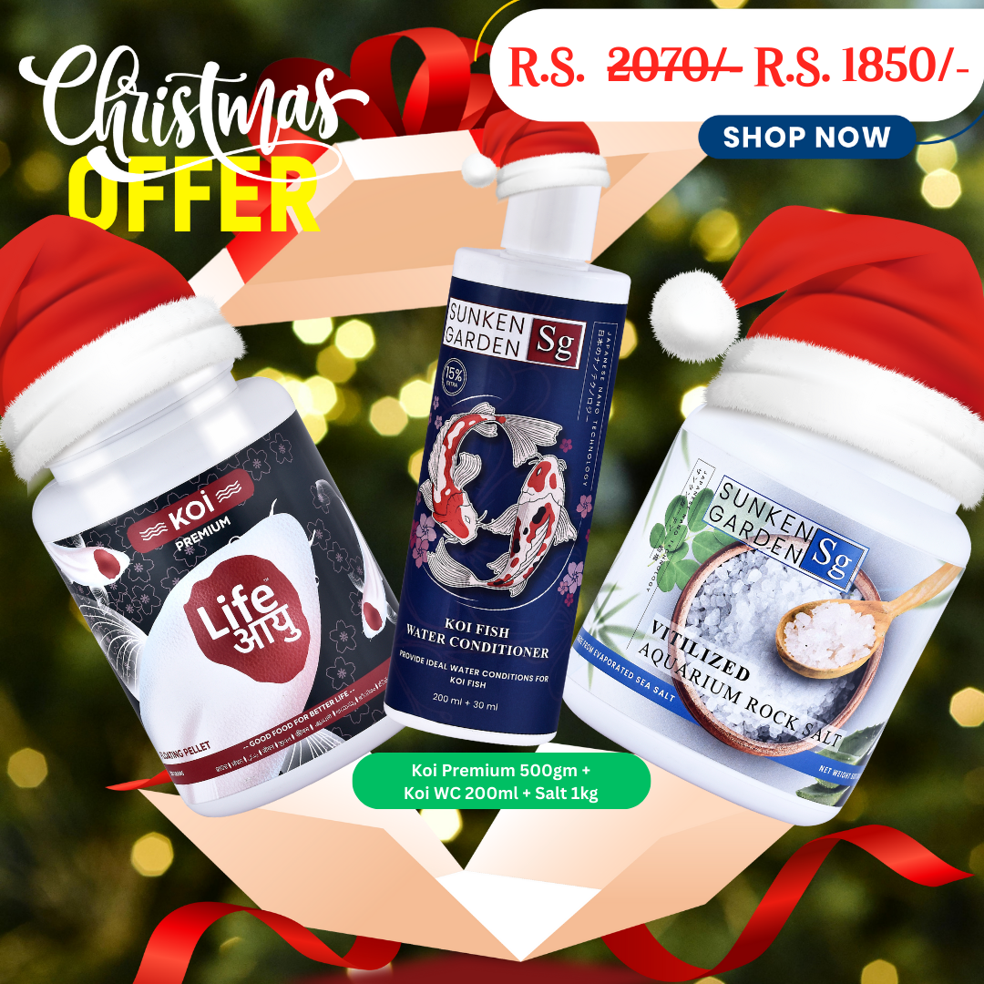 Koi Premium Christmas Combo – 500g