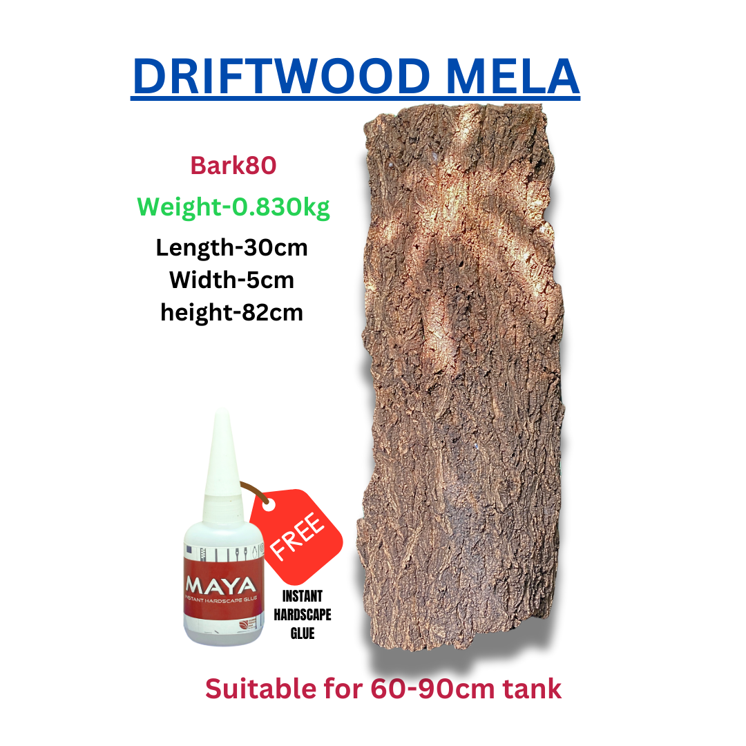 Driftwood BRANCHWOOD 080