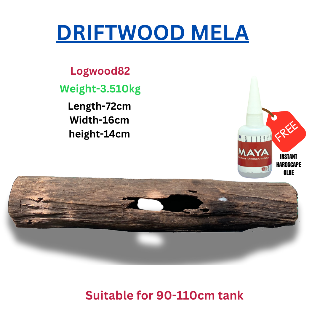 Driftwood BRANCHWOOD 082