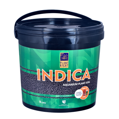 Indica Aqua Soil + Free The Good Grow Series - START 50ml