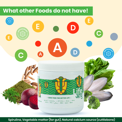 लाइफ आयु वयस्क कछुआ भोजन - मजबूत खोल, आंत स्वास्थ्य और पाचन के लिए स्पिरुलिना और कैल्शियम समृद्ध आयुर्वेदिक आहार (100 ग्राम)
