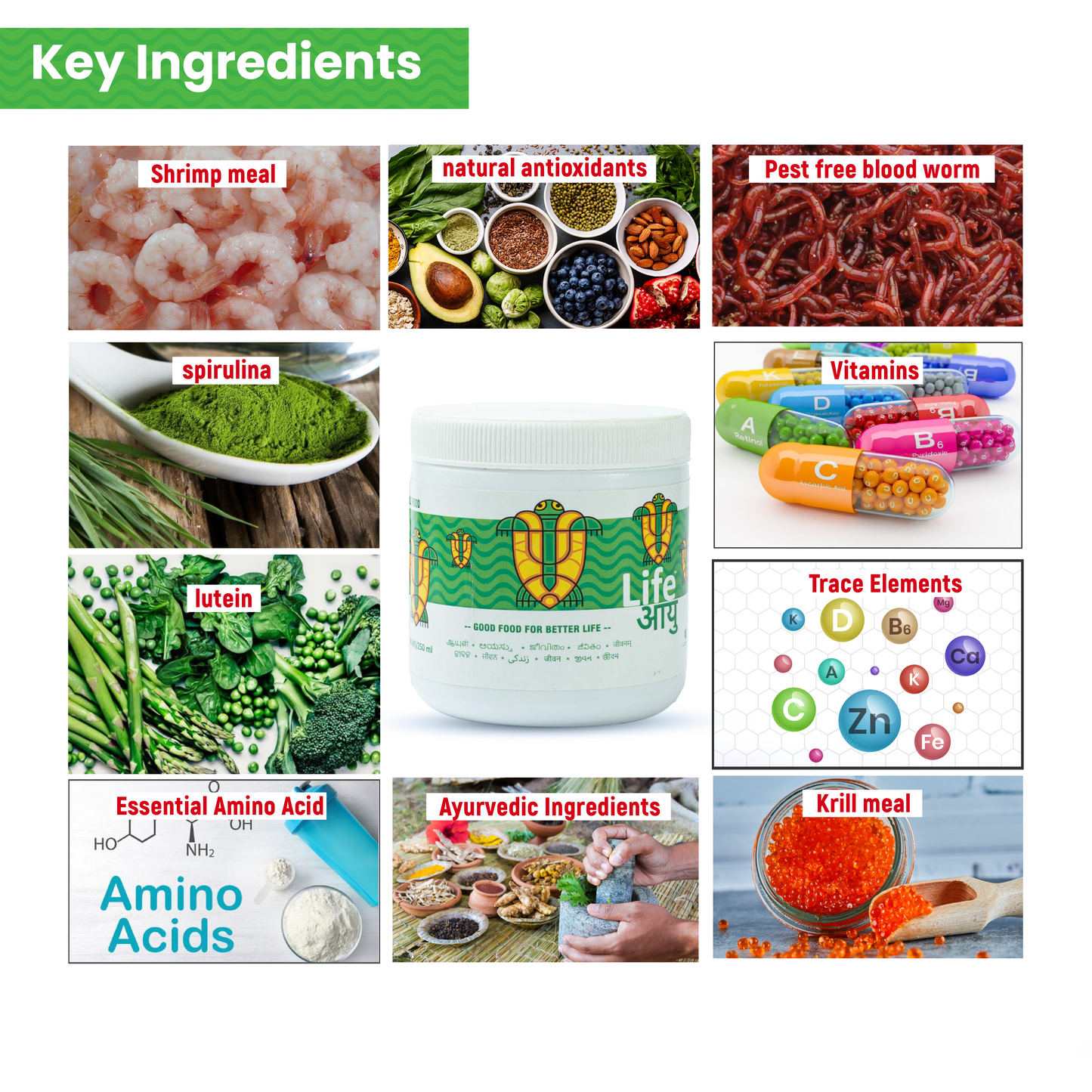 लाइफ आयु वयस्क कछुआ भोजन - मजबूत खोल, आंत स्वास्थ्य और पाचन के लिए स्पिरुलिना और कैल्शियम समृद्ध आयुर्वेदिक आहार (100 ग्राम)