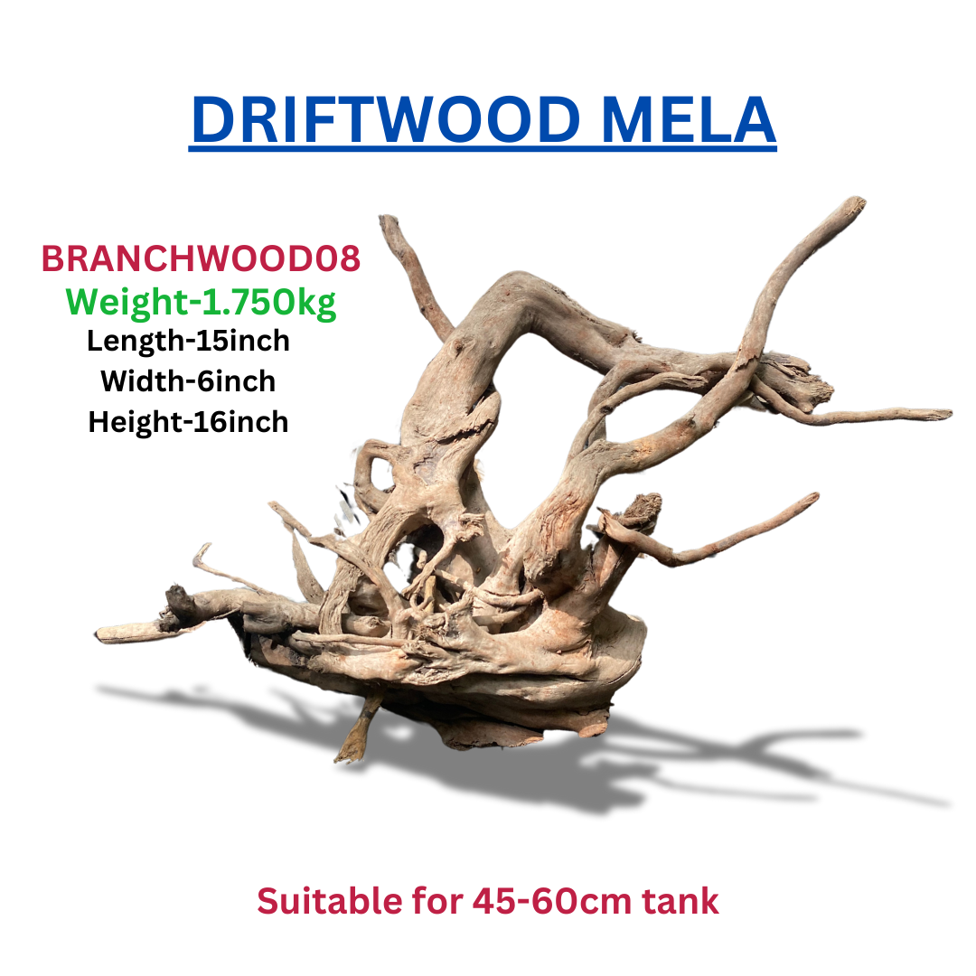 Driftwood Branchwood8