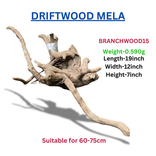 Driftwood Branchwood15