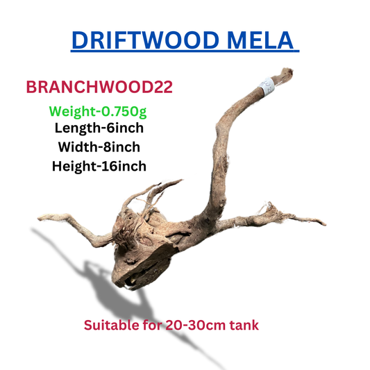 Driftwood Branchwood22