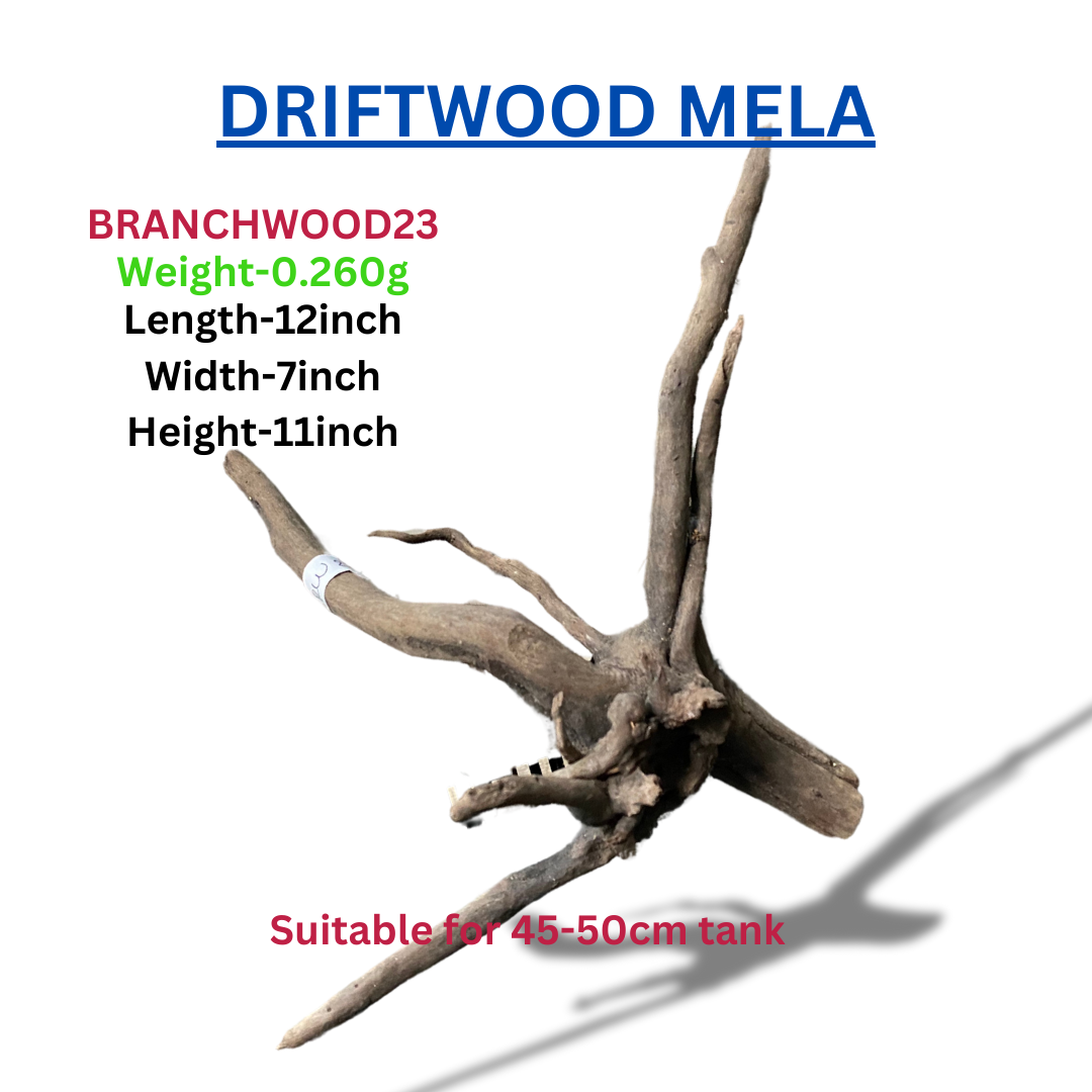 Driftwood Branchood23