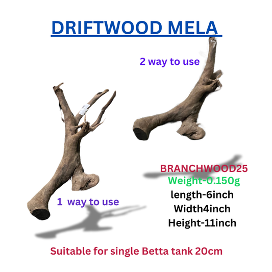 Driftwood Branchwood25