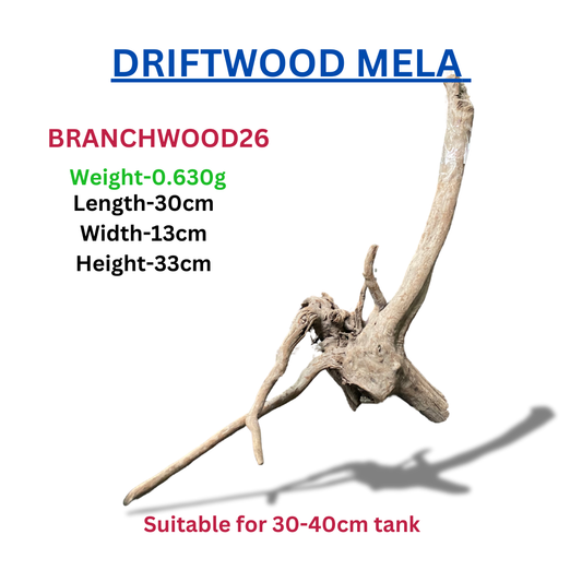 Driftwood Branchwood26