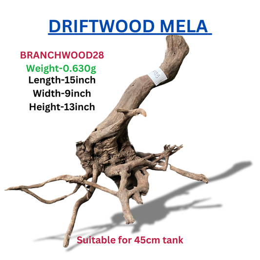 Driftwood Branchwood28