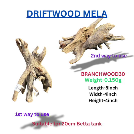 Driftwood Branchwood30