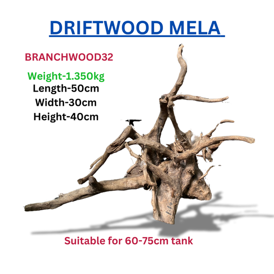 Driftwood Branchwood32