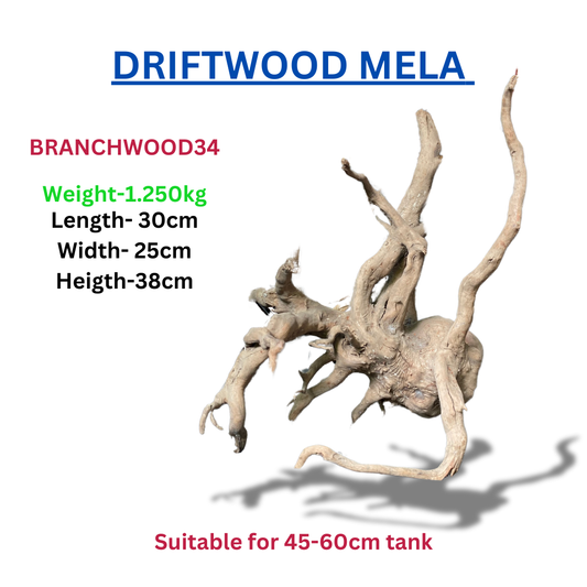 Driftwood Branchwood34