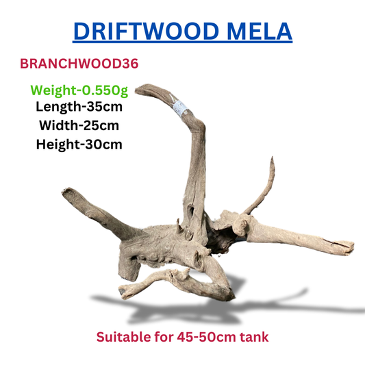 Driftwood Branchwood36