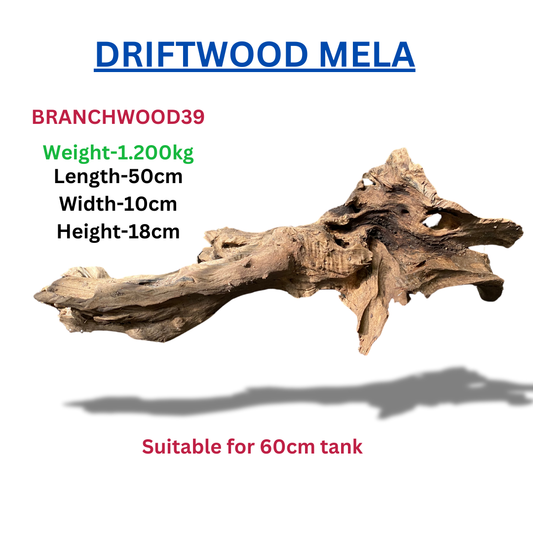 Driftwood Branchwood39