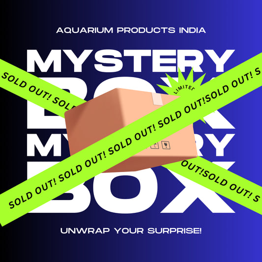 Bronze Mystery Box