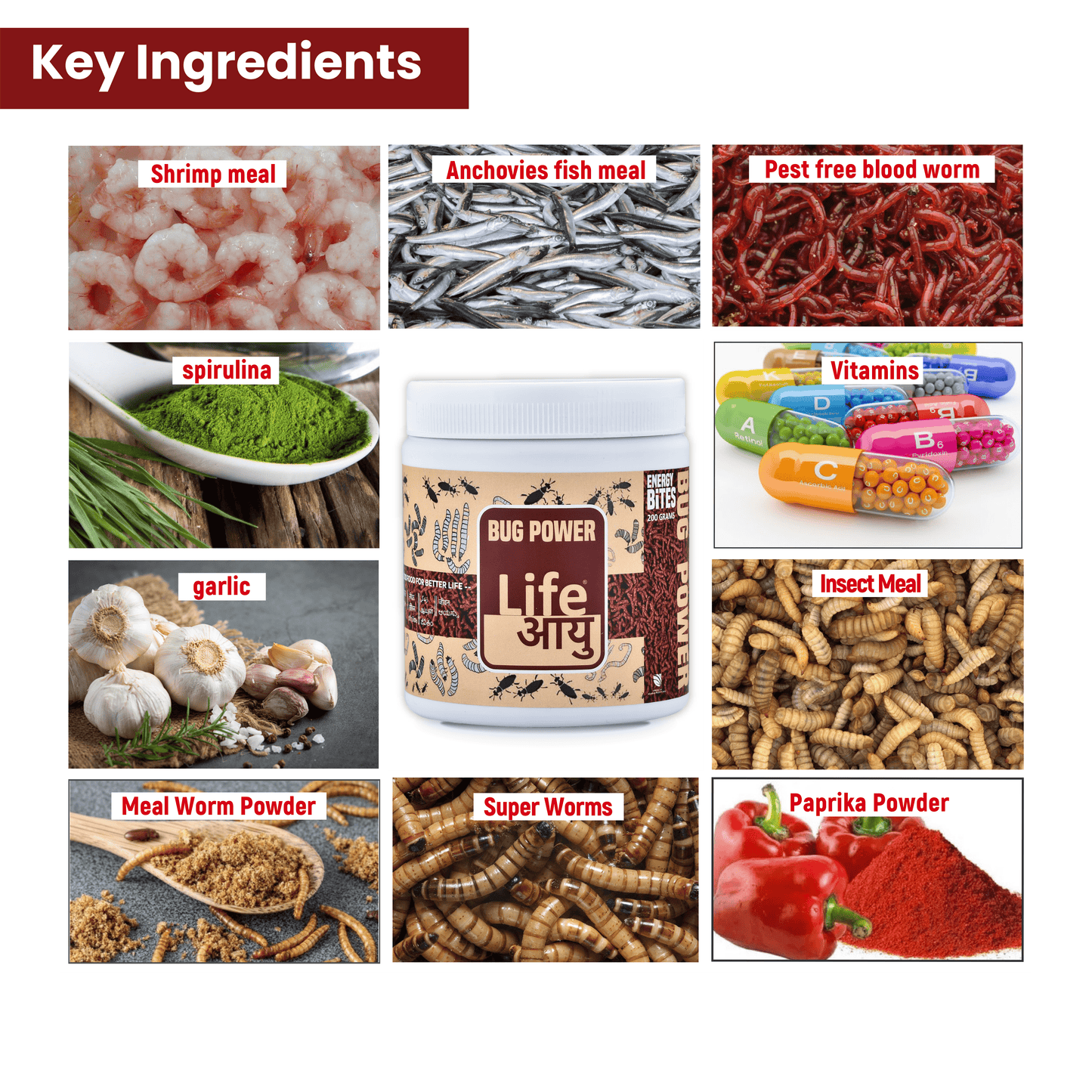 LIFE AAYU BUG POWER FISH FOOD