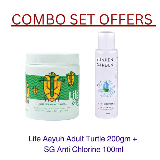 Adult Turtle 200gm combo offer