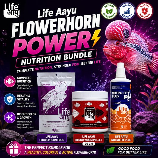 Life Aayu Flowerhorn Power Nutrition Bundle