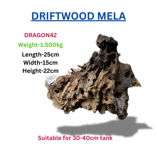 Driftwood Dragonwood42