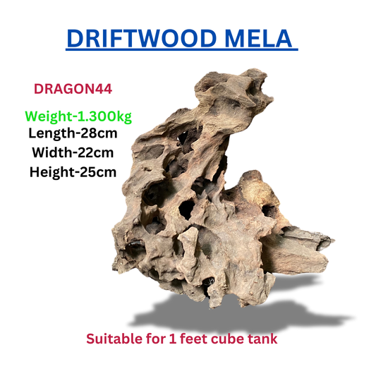 Driftwood Dragonwood44