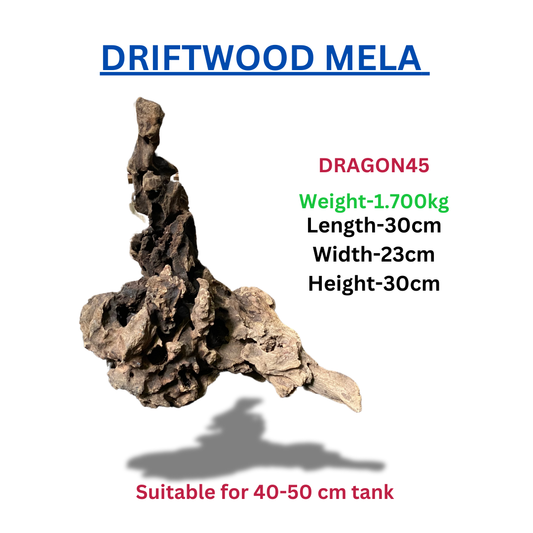 Driftwood Dragonwood45