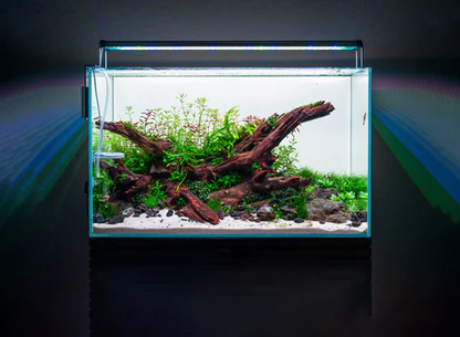 Twinstar E Line (Version IV) Planted | Freshwater Aquarium ORGB Light